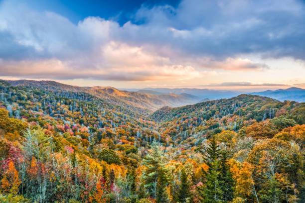 Breathtaking Sunsets, Views, Pool, Heaven Awaits! Gatlinburg Exterior foto